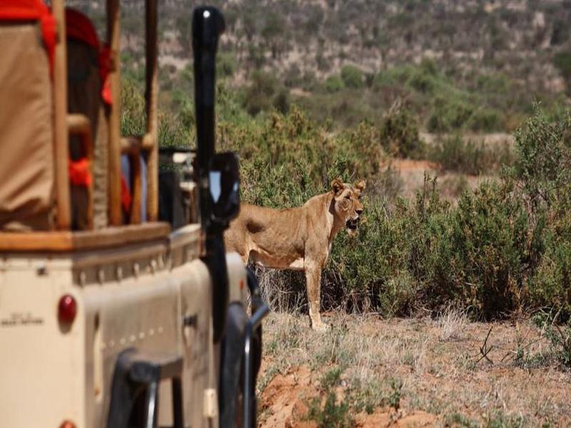 Saruni Samburu Villa Bagian luar foto