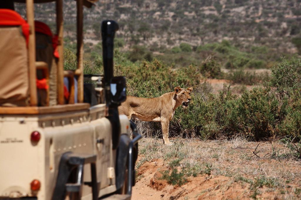 Saruni Samburu Villa Bagian luar foto